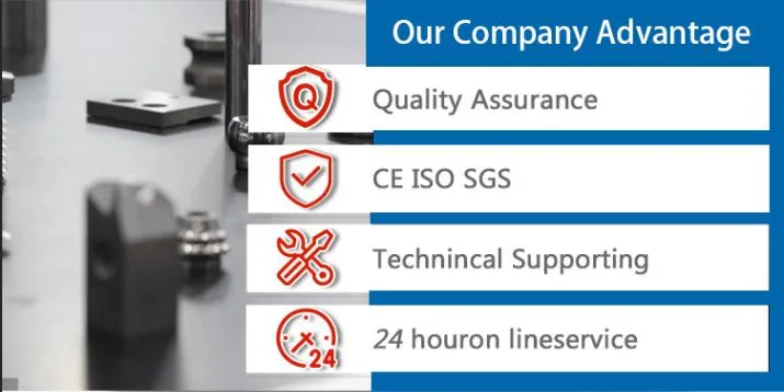 Double Spindle Torno CNC Con Alimentador De Barra Swiss-Type Machine